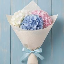 Букет цветов из:  Гортензия #REPLACE_PRED# Начале