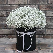 Цветочная композиция из Гипсофила в шляпной коробке #REPLACE_PRED# Начале