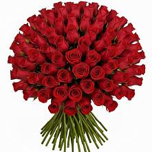 Букет Красные розы Чери Лав в Начале
