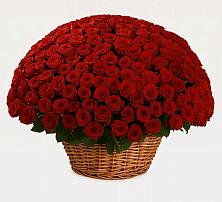 Премиум букет из: Розы в Начале