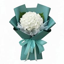 Букет цветов из:  Гортензия в Начале